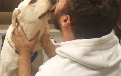 A Traffic Jam and a Dog That Made all the Difference