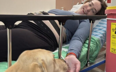 Is Cooper a Doula Dog?