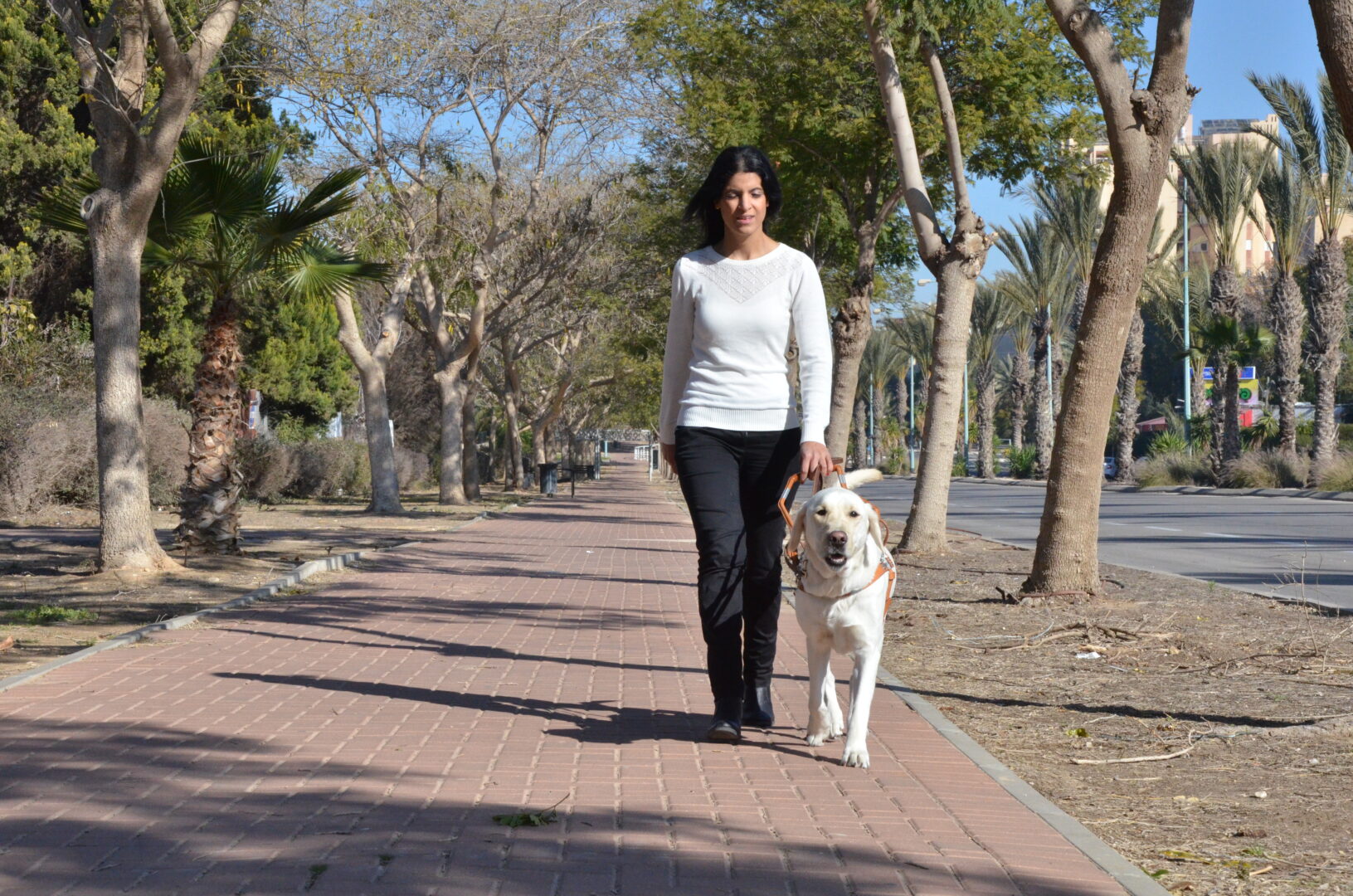 Enav and Jeff Walking