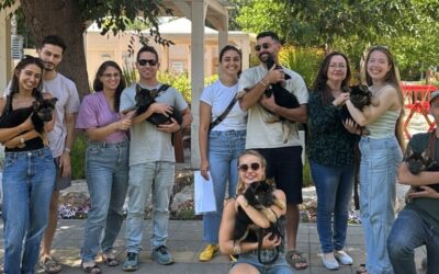 Our First German Shepherd Litter is on the Move