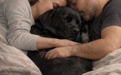 A Different Kind of Valentine