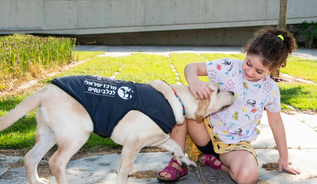 Israel Guide Dog playing with child in the yard.