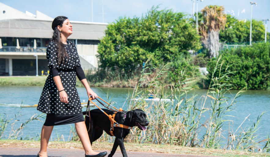 Person walking an Israel Guide Dog in the park.