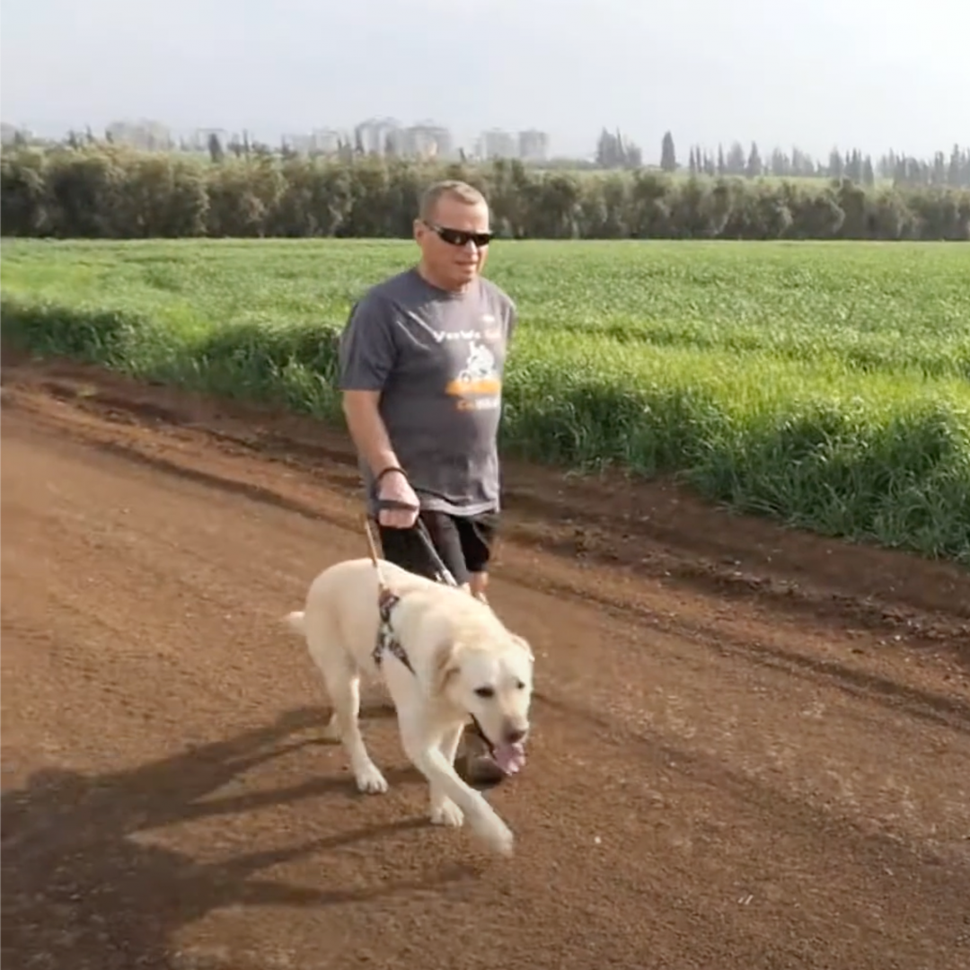 Israel Guide Dog and person walking laps at the park.